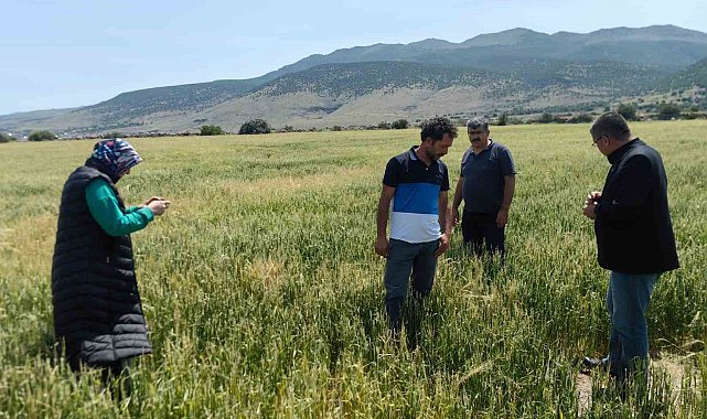 Karapınar'da dolu ve sel felaketinde etkilenen bölgelerde incelemelerde bulunuldu