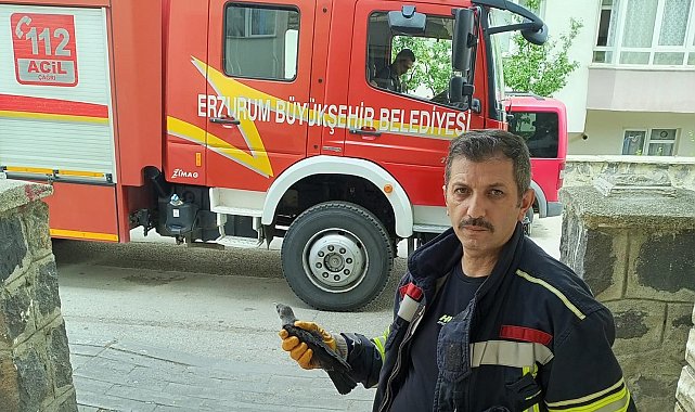 Karga yavrusuna uzanan şefkat eli