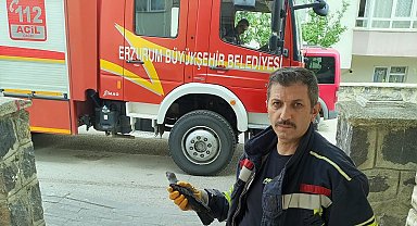 Karga yavrusuna uzanan şefkat eli