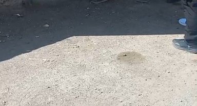 Kars'ta 1 metrelik yılan paniği