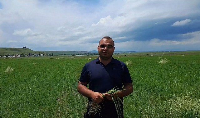 Kars'ta etkili olan dolu tarım arazilerine zarar verdi