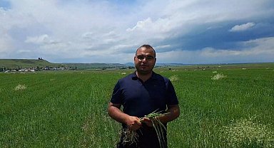 Kars'ta etkili olan dolu tarım arazilerine zarar verdi