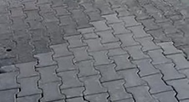 Karşıyaka Mezarlığı'nda yılanlar gezerken görüntülendi