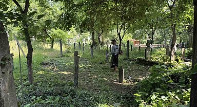 Kartepe'de mezarlık temizliği