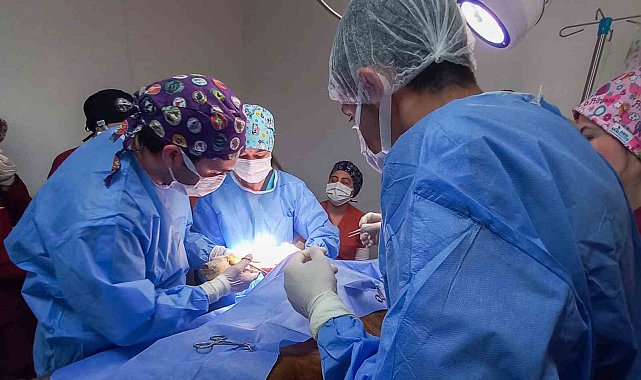 Kastamonu Üniversitesi'nde 5 ayda 334 hayvan tedavi edildi