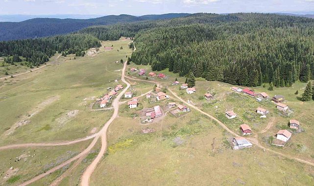 Kastamonu'da 48 kilometrelik rotada bulunan 33 yayla, korunan alan ilan edilecek