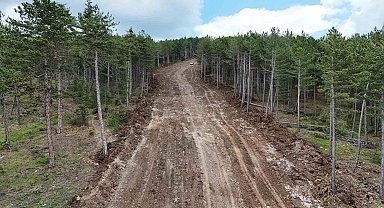 Kastamonu'da ormanları yangınlardan korumak için emniyet yolu çalışmaları sürüyor