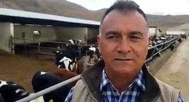 Kayseri'de günlük 500 ton süt üretiliyor