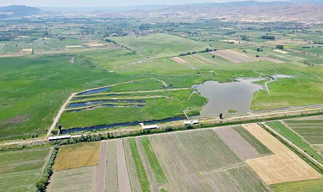 Kaz Gölü yeni evlenen çiftler için doğal stüdyo oldu