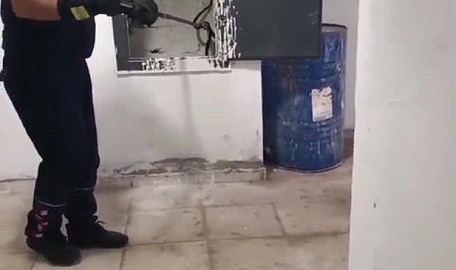 Kazan dairesinde yılan paniği