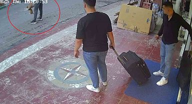 Kediye Heimlich manevrası yaparak hayatını kurtardı... O anlar kamerada