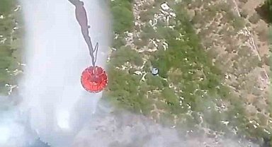 Kemalpaşa'daki orman yangını kontrol altında