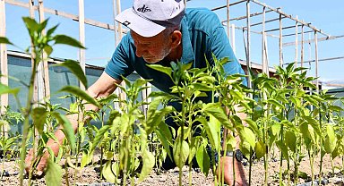 Kendi emekleriyle yetiştirdikleri sebzeleri güvenle tüketiyorlar