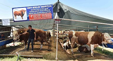 Kepez'de 9 noktada kurban kesim alanı