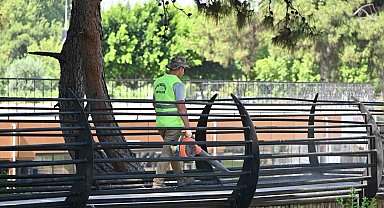 Kepez'de Tek Sarnıç Parkı'nda temizlik seferberliği