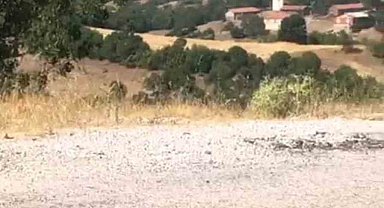 Kepsut'ta orman yangını başladı