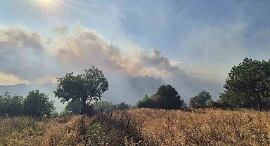 Kepsut'taki orman yangını köyü tehdit ediyor