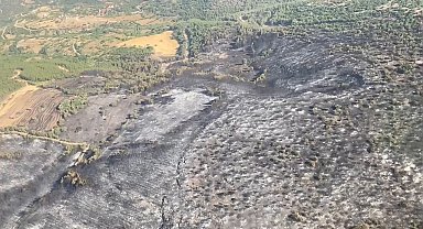 Kepsut'taki orman yangınları kontrol altına alındı