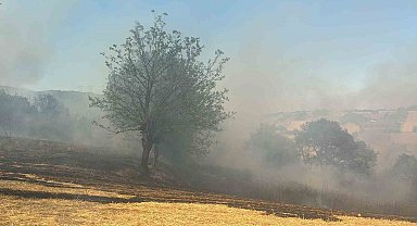 Kestel'de orman yangını