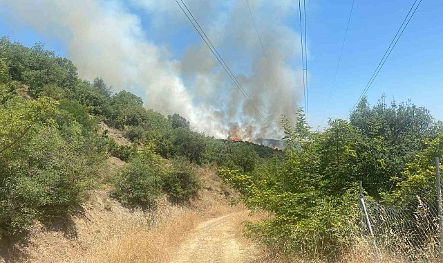 Kestel'de yanan ormanın yanında yeniden yangın başladı