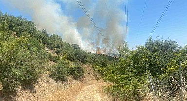 Kestel'de yanan ormanın yanında yeniden yangın başladı