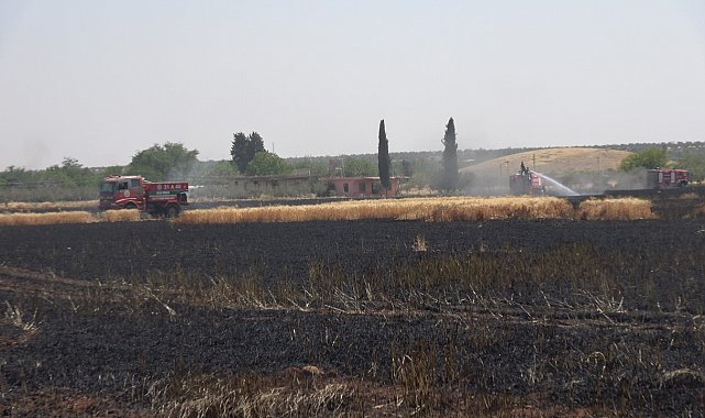 Kilis'te buğday tarlasında yangın