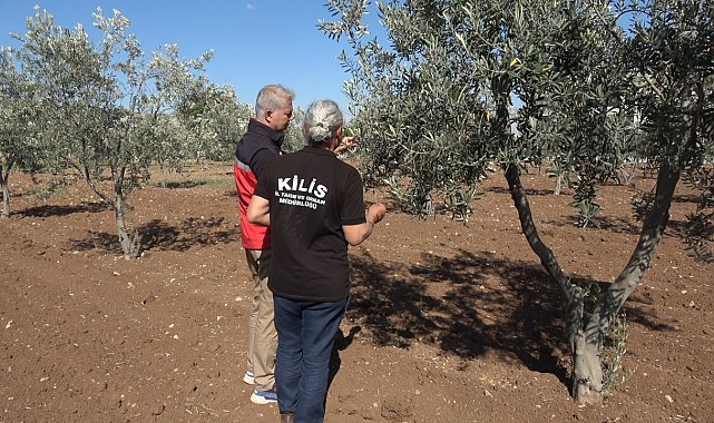 Kilis'te tarımsal sulama yatırımları artıyor