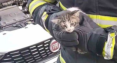 Kırıkkale'de kedi kurtarma operasyonu