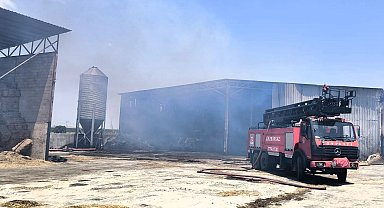 Kırklareli'nde bir hayvan çiftliğinin yem deposunda çıkan yangın söndürüldü
