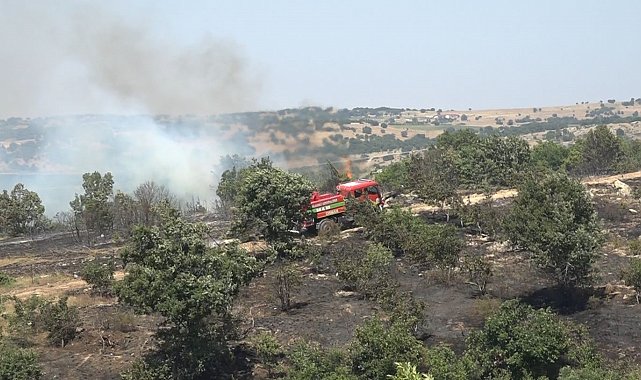 Kırklareli'nde ceviz bahçesi ve orman alanında yangın