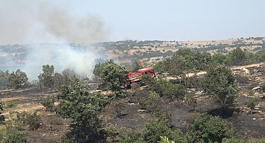 Kırklareli'nde ceviz bahçesi ve orman alanında yangın