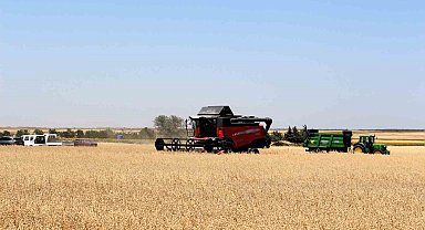 Kırklareli'nde yerli milli 3 yulaf çeşidi hasat edildi