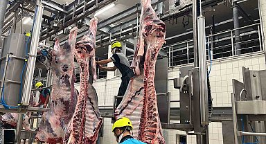 Kist hidatik riskine karşı sakatat uyarısı