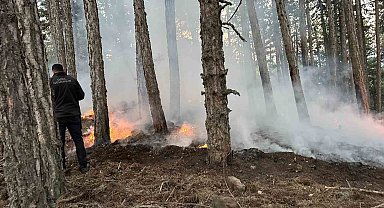Kızılcahamam Soğuksu Milli Parkı'nda piknikçi ateşinden yangın çıktı