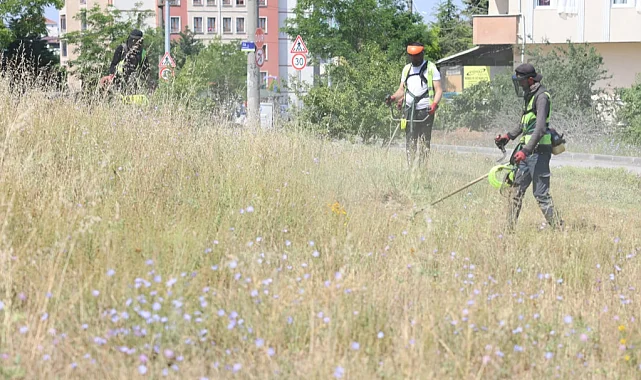 Kocaeli Çayırova'da boş arazilerdeki otlar biçiliyor