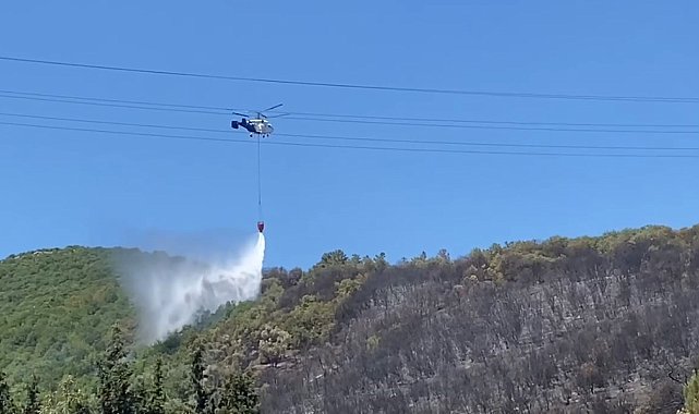 Kocaeli'de ağaçlık alanda çıkan yangın kontrol altına alındı