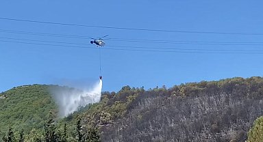 Kocaeli'de ağaçlık alanda çıkan yangın kontrol altına alındı