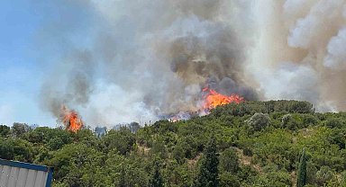 Kocaeli'de ağaçlık alanda çıkan yangına müdahale ediliyor