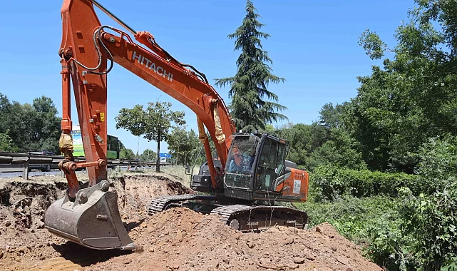 Kocaeli'de sökülen ağaçlar geleceğe taşınıyor
