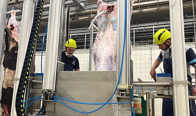 Kocaeli'den uyarı... Sakatatları açık halde çöpe atmayın