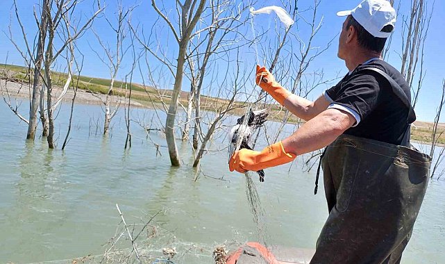 Koçhisar Barajı'nda 'hayalet ağ' denetimi: Kaçak avcılara ceza kesildi