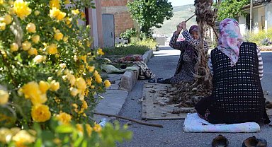 Kollar sağlık için sıvandı: Bayburtlu kadınların yün çırpma mesaisi başladı