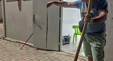 Konteynere giren yılan paniğe neden oldu