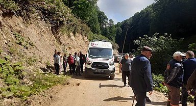 Kontrolden çıkan pat pat, dereye devrildi: 2 yaralı