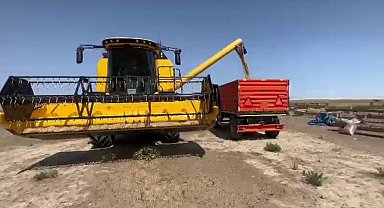 Konya'nın Kulu ilçesinde ekilen arpa zamanından 3 hafta önce hasat edildi