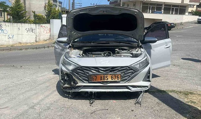 Kopan elektrik telleri otları, otlarda aracı yaktı