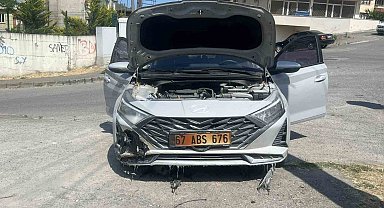 Kopan elektrik telleri otları, otlarda aracı yaktı