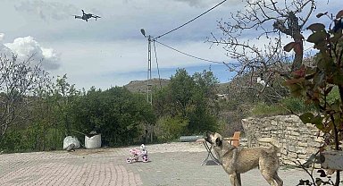 Köpeğin dron ile imtihanı gülümsetti