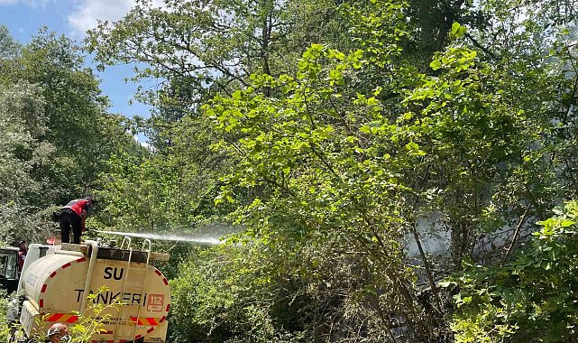 Koskoca tabiat parkı bir sigara izmariti yüzünden kül olacaktı