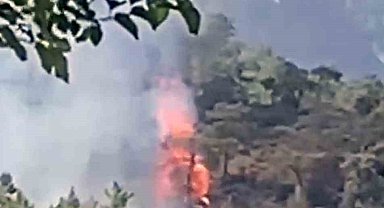 Köyceğiz'de orman yangını başladı